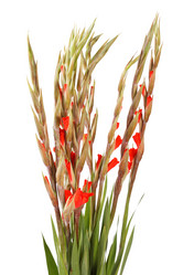 Similar image 2270236