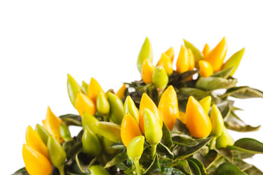 Similar image 2270247