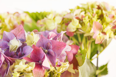 Similar image 2270249