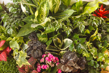 Similar image 2270253