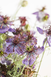 Similar image 2270256