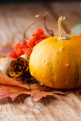 Similar image 2270259