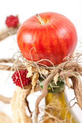 Similar image 2270336