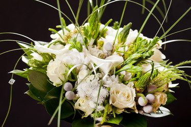 Similar image 2270355