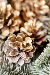 Similar image 2270361