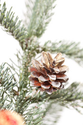 Similar image 2270365