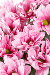 Similar image 2270390