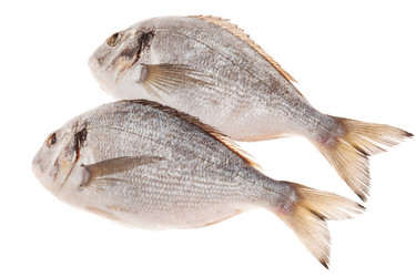 Similar image 2270394