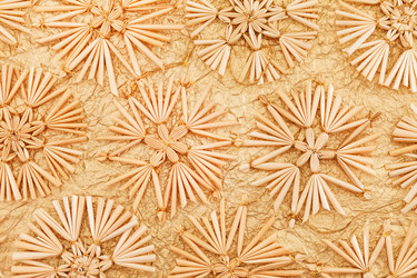 Similar image 2270448