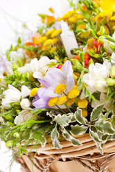 Similar image 2270452