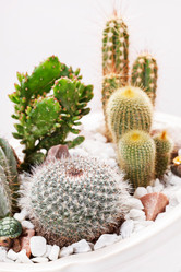 Similar image 2270461