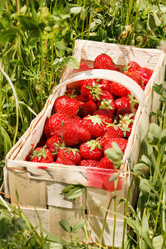 Similar image 2270465