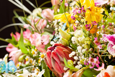 Similar image 2270474