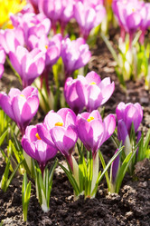 Similar image 2270476