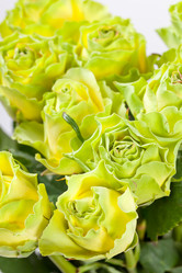 Similar image 2270487