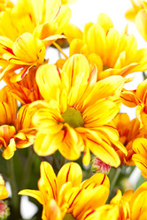 Similar image 2270489