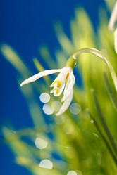 Similar image 2270709