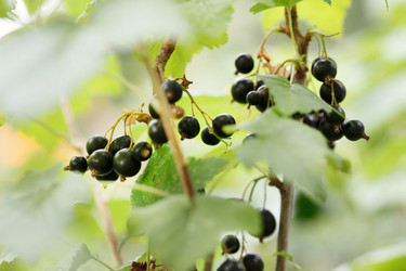 Similar image 2270711