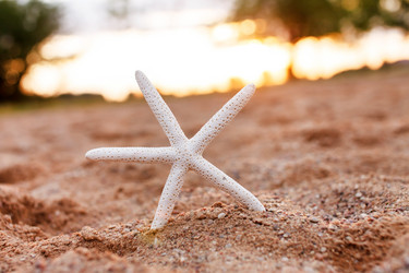 Similar image 2270791