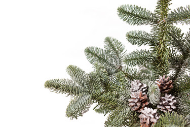 Similar image 2270796