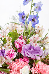 Similar image 2270827