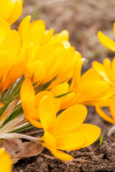 Similar image 2270832