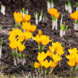 Similar image 2270838