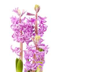 Similar image 2270904