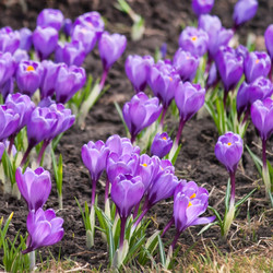 Similar image 2270915