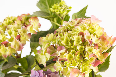 Similar image 2270929