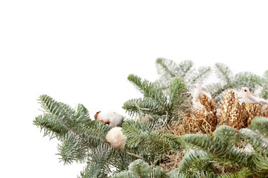 Similar image 2270932