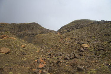 Similar image 2272515