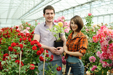 Similar image 2272860