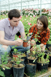 Similar image 2272893