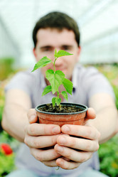 Similar image 2272902