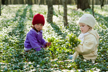 Similar image 2272967