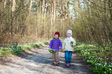 Similar image 2272984