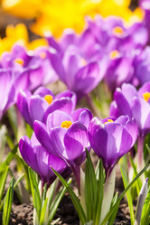 Similar image 2273233