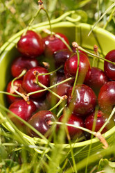 Similar image 2273275