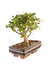 Similar image 2273305