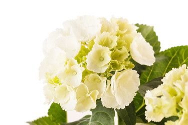 Similar image 2273307