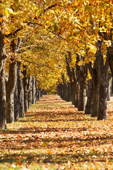 Similar image 2273318