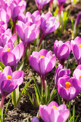 Similar image 2273348