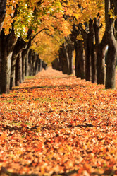 Similar image 2273443