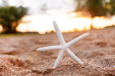 Similar image 2273455