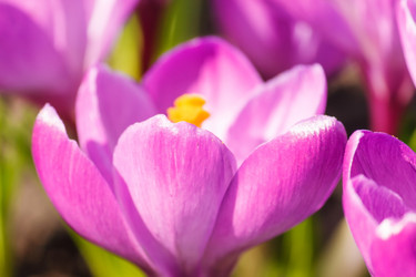 Similar image 2273477