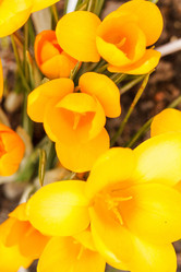 Similar image 2273530