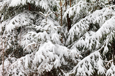 Similar image 2273546