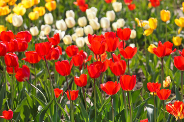 Similar image 2273557