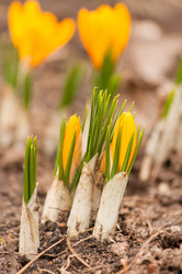 Similar image 2273564